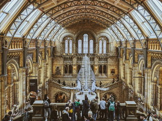 International Museum Day