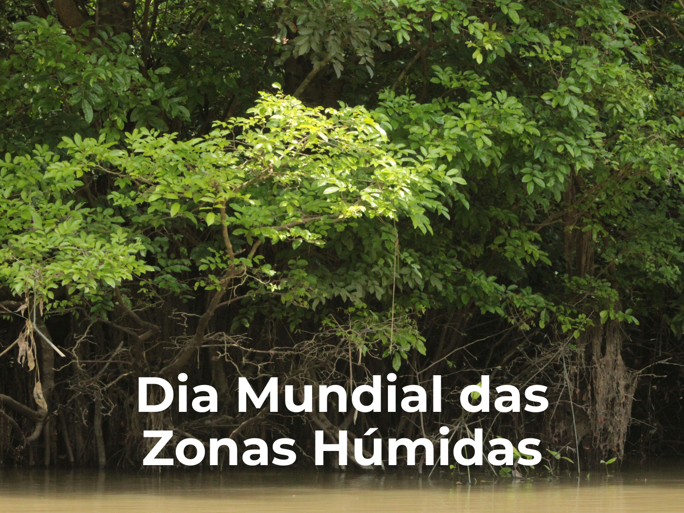 Dia Mundial das Zonas Úmidas