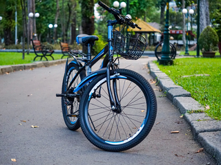 Dia Mundial da Bicicleta