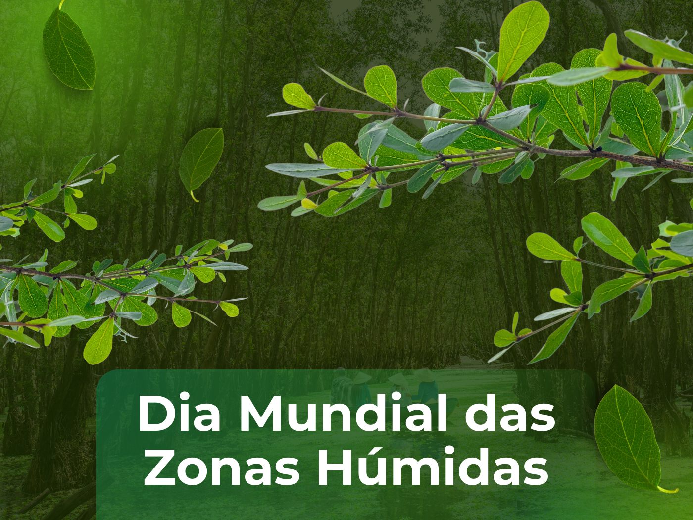 Dia Mundial das Zonas Húmidas