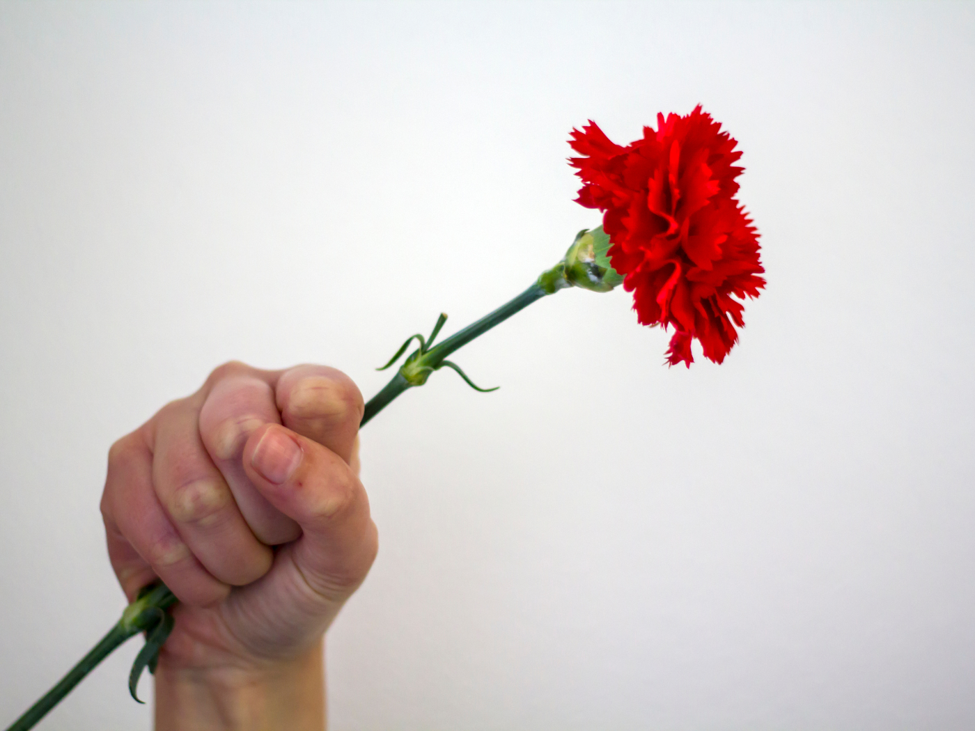 Dia da Liberdade (25 de Abril)