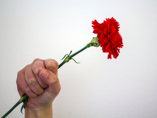 Dia da Liberdade (25 de Abril)