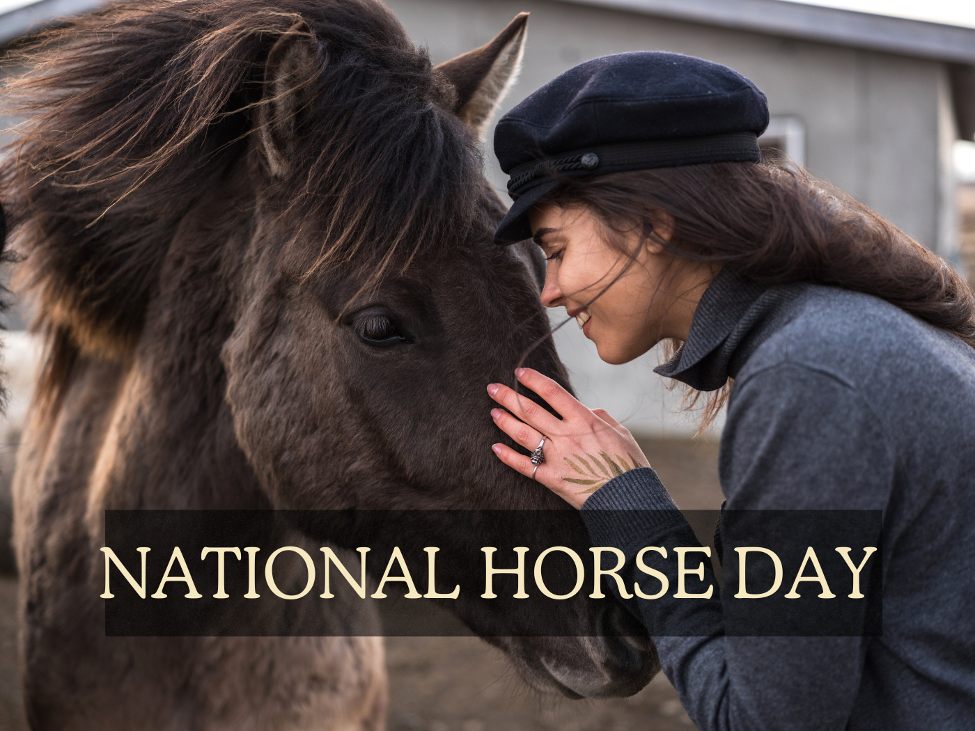 National Day of the Horse December 13 Calendarr