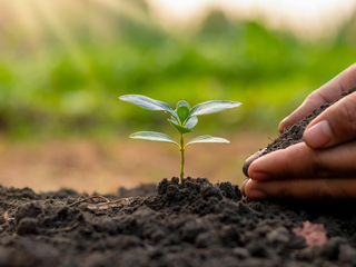Dia do Agente de Defesa Ambiental